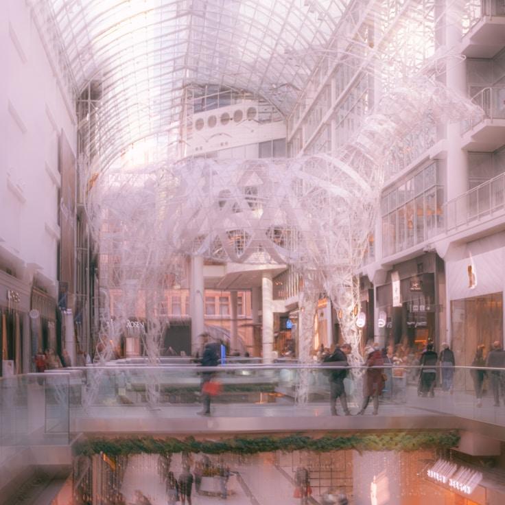 Dining out as an expat family in Canada